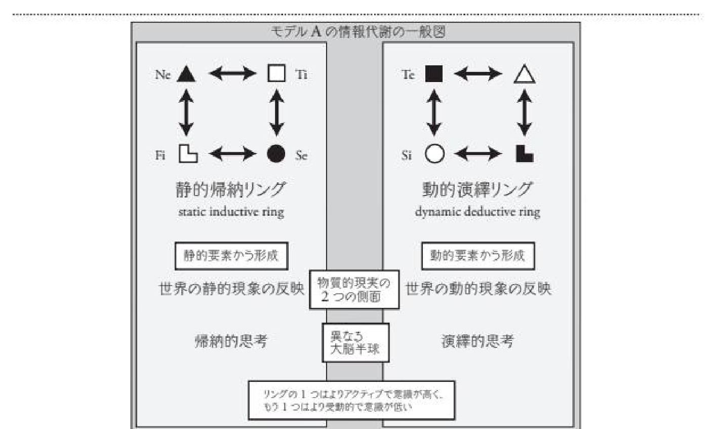 Figure 4 — モデルAの情報代謝の一般図（Generalised diagram of Model A of IM）